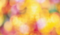 lips talk ebook