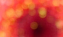 lips talk indigo skye
