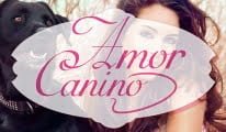 Amor Canino
